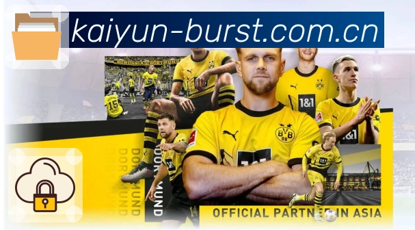 开云APP 体育赛事宣传图